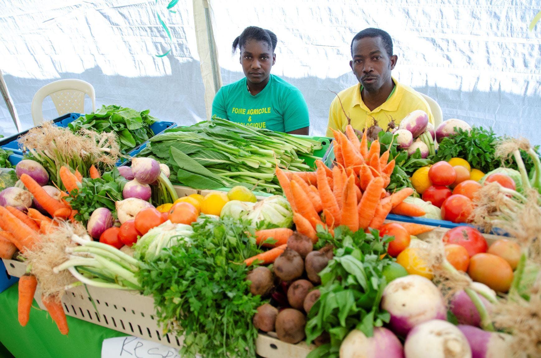 Recommandations pour des repas équilibrés et nutritifs en Haïti - AyiboPost