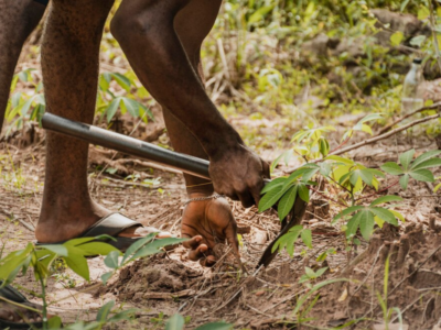 El Niño haiti.