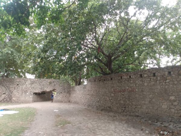 Merchant Dessalines: Fort Culbuté