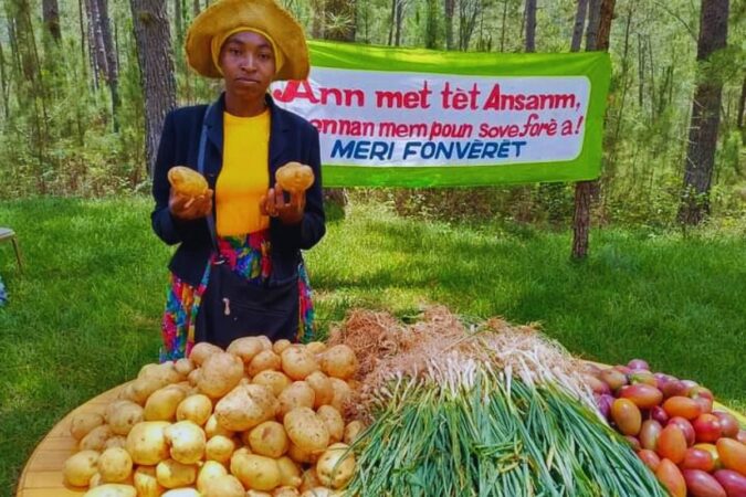 Insécurité alimentaire