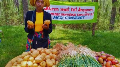 Insécurité alimentaire