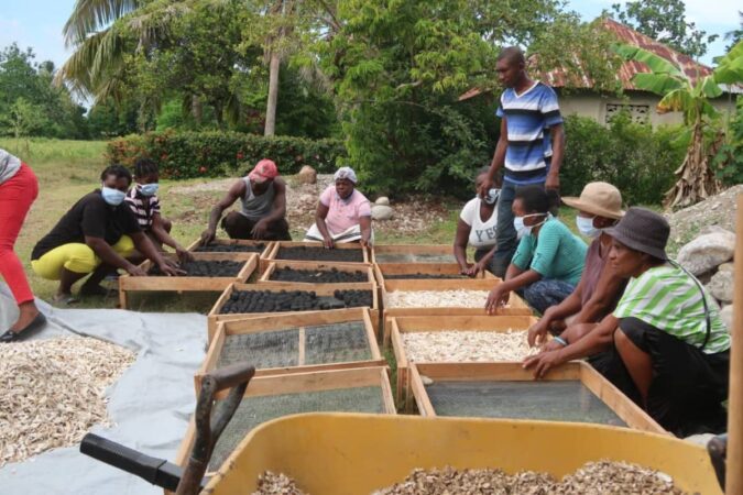 Des travailleurs.euses sur un site de production du charbon écologique en mai 2024 à Torbeck. Cp: jhems Aristil.