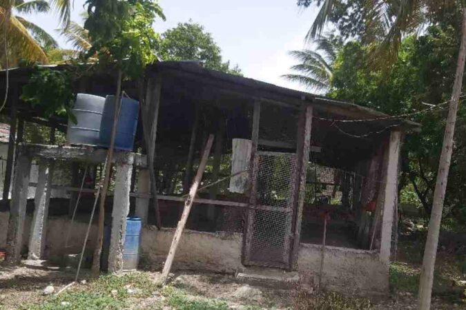 L'espace de la Petite Ferme à Lillavois où les poussins sont élevés pendant six mois pour ensuite être transférés dans les autres localisations de la Petite Ferme.CP: Fontil Durand.