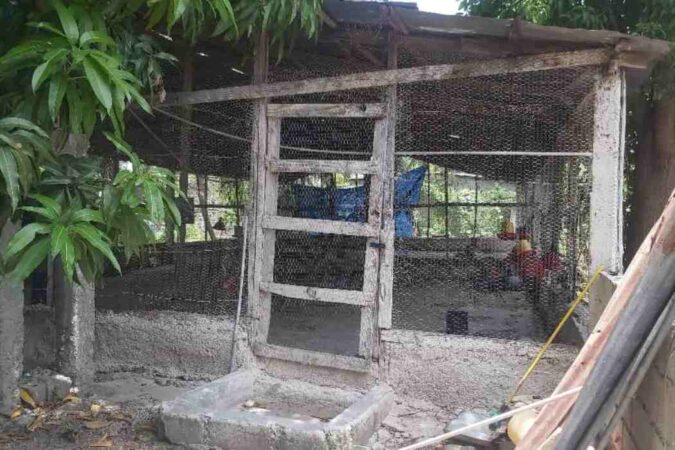 L'espace de la Petite Ferme à Lillavois où les poussins sont élevés pendant six mois pour ensuite être transférés dans les autres localisations de la Petite Ferme.CP: Fontil Durand.