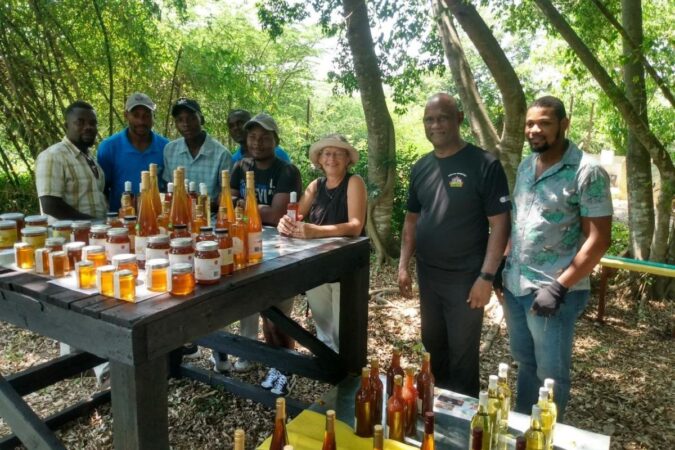 Une partie de l’équipe de ViAHSA avec des visiteurs lors de la Foire organisée le 20 mai 2024 pour la 7ème Journée mondiale des abeilles et des autres pollinisateurs.