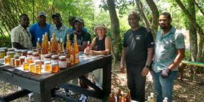 Une partie de l’équipe de ViAHSA avec des visiteurs lors de la Foire organisée le 20 mai 2024 pour la 7ème Journée mondiale des abeilles et des autres pollinisateurs.