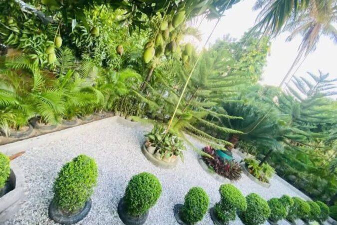 Vue d’une parcelle du Villa John Jardin Botanique au Cayes. Photo : John Moïse Beauséjour