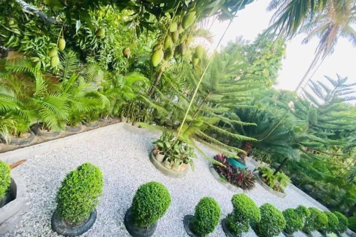Vue d’une parcelle du Villa John Jardin Botanique au Cayes. Photo : John Moïse Beauséjour 