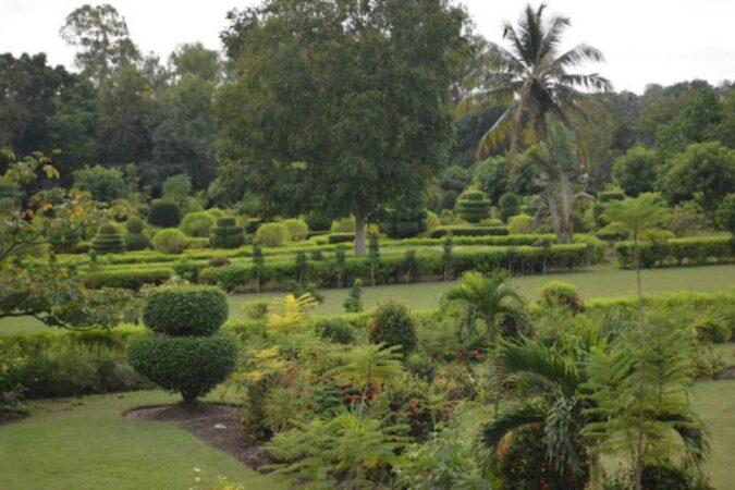 Aménagement paysager du Jardin botanique des Cayes, juillet 2024. Photo : Jardin botanique des Cayes.