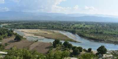 Gangs are destroying rice plantations in Artibonite