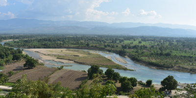 Gangs are destroying rice plantations in Artibonite
