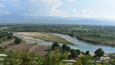 Gangs are destroying rice plantations in Artibonite